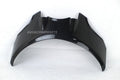 Cover faro Monster 1100EVO/S-1100-796-696