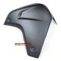 Fianchetto SX per Multistrada Enduro 1200-1260