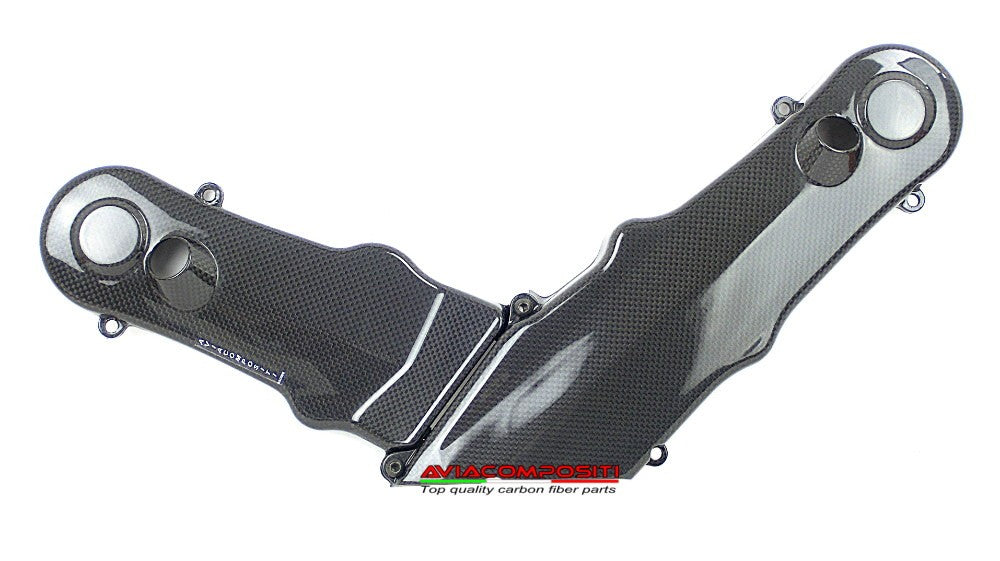 Copri cinghie Distribuzione per Monster M1000ie-M1000S-DS-S2R-M1100-GT1000